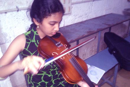 Violin